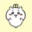 ちゃんかなのプロフィール画像