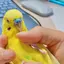 みいのプロフィール画像