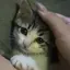 明のプロフィール画像