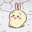 うさぎのプロフィール画像