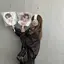 yaのプロフィール画像
