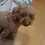 ゆりのプロフィール画像