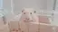 倫子のプロフィール画像