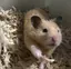 tomomiのプロフィール画像