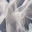 🦢のプロフィール画像