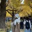 なななのプロフィール画像