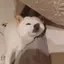 実李のプロフィール画像