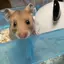すずのプロフィール画像