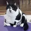 たのプロフィール画像