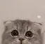 Reのプロフィール画像