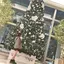 ももかのプロフィール画像