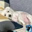 しおのプロフィール画像