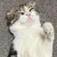 和のプロフィール画像