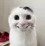 即、帰宅のプロフィール画像
