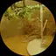 りりのプロフィール画像