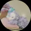 みさ。のプロフィール画像