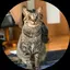 恭子のプロフィール画像