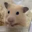 美咲のプロフィール画像