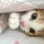 ♡のプロフィール画像