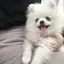 Uのプロフィール画像