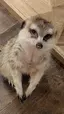 なぁのプロフィール画像