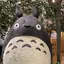 いっとんのプロフィール画像