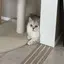 マナのプロフィール画像