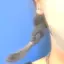 まぐちゃのプロフィール画像