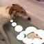 ゆりのプロフィール画像