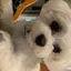 沙也香のプロフィール画像