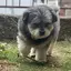 りこのプロフィール画像