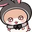 💕のプロフィール画像