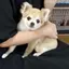 すいのプロフィール画像