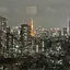 tacのプロフィール画像
