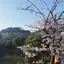 あいのプロフィール画像