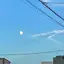 あんずのプロフィール画像