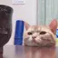 みぃのプロフィール画像