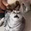 駿介のプロフィール画像