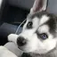 ☾.のプロフィール画像