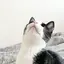ゆのプロフィール画像