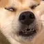 もんのプロフィール画像