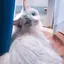 RUMIのプロフィール画像
