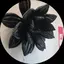 すーのプロフィール画像