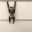ayakaのプロフィール画像