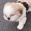えりんぎのプロフィール画像