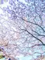 kiraのプロフィール画像