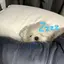 りのプロフィール画像