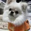 恵梨のプロフィール画像