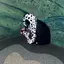 mのプロフィール画像
