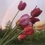 ⛅️🤍のプロフィール画像